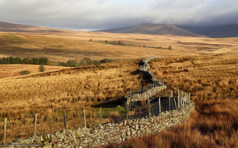Stone Wall in Field — Brown, Dramatic