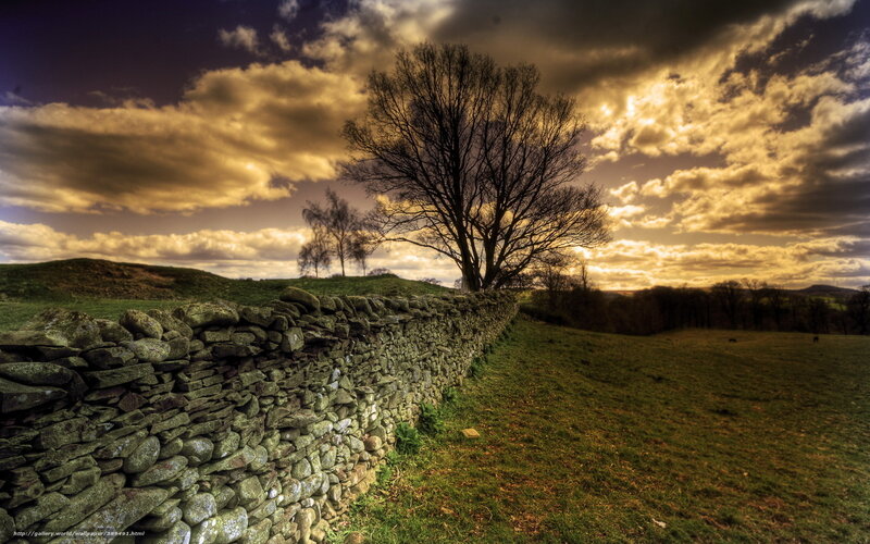 Stone Wall in Field — Green, Dramatic