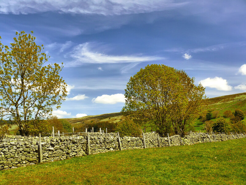 Stone Wall in Field — Green, Serene, Afternoon