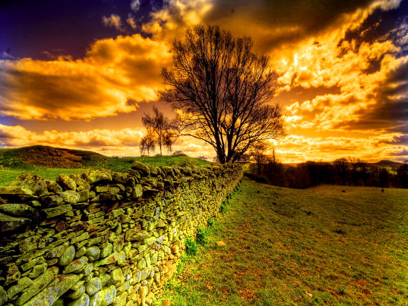 Stone Wall in Field