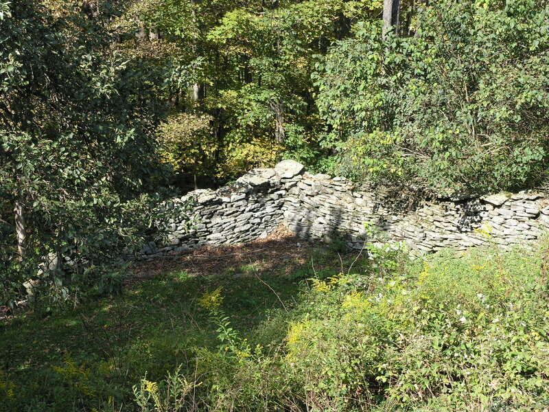 Stone Wall in Forest