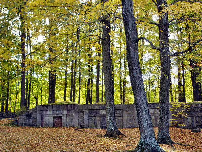 Stone Wall in Forest — Yellow