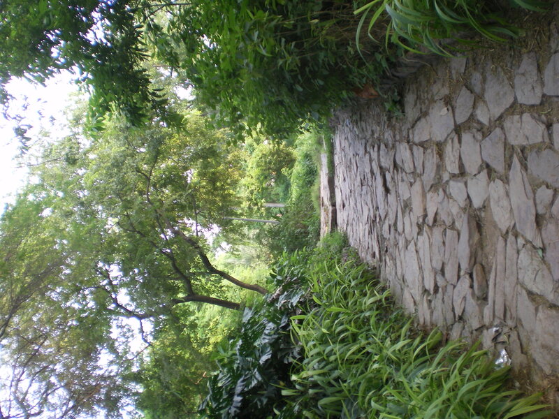 Stone Wall in Garden — Green