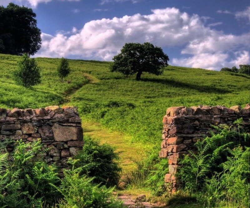 Stone Wall in Green Field
