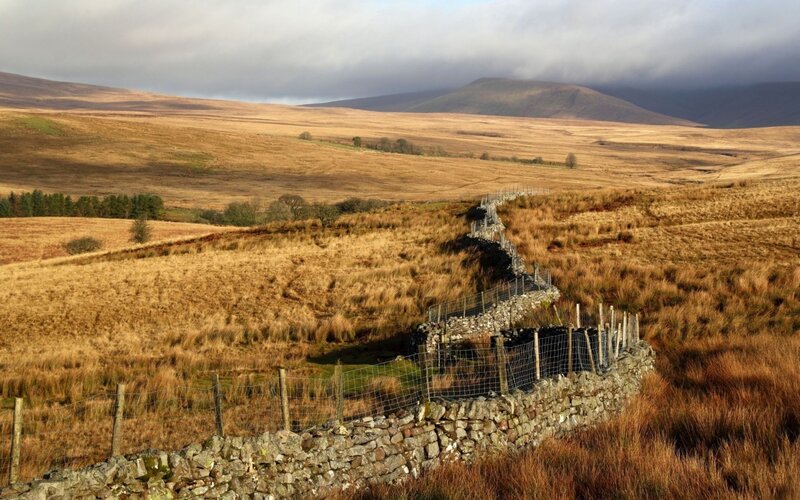 Stone wall in rolling hills