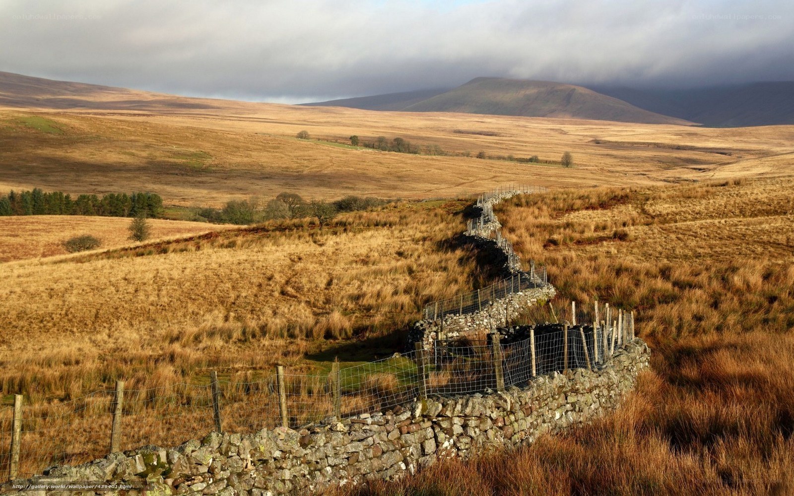 Stone wall in rolling hills