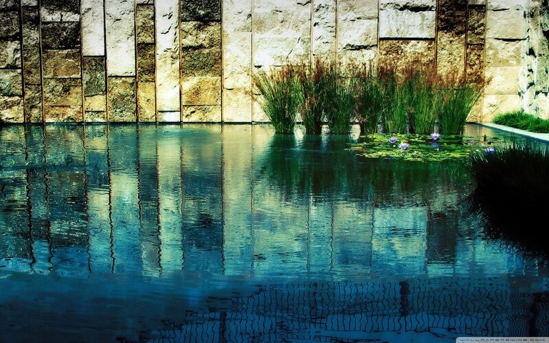 Stone wall pond reflection