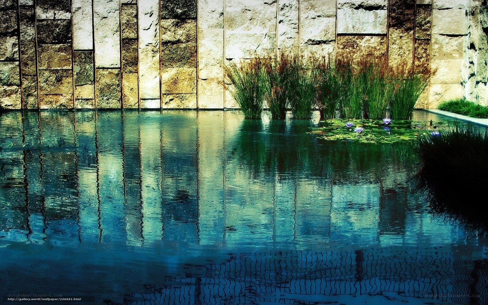 Stone wall reflecting in pond