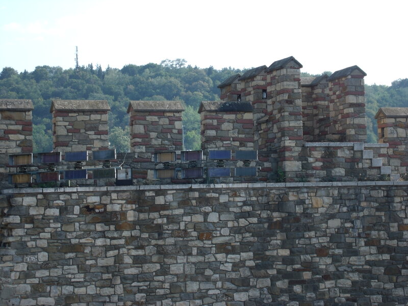 Stone Wall with Battlements