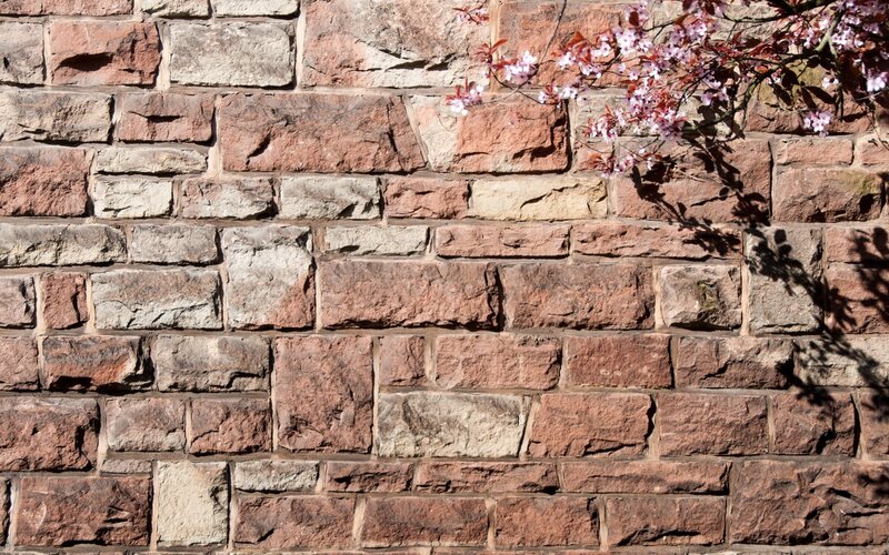 Stone Wall with Blossoms