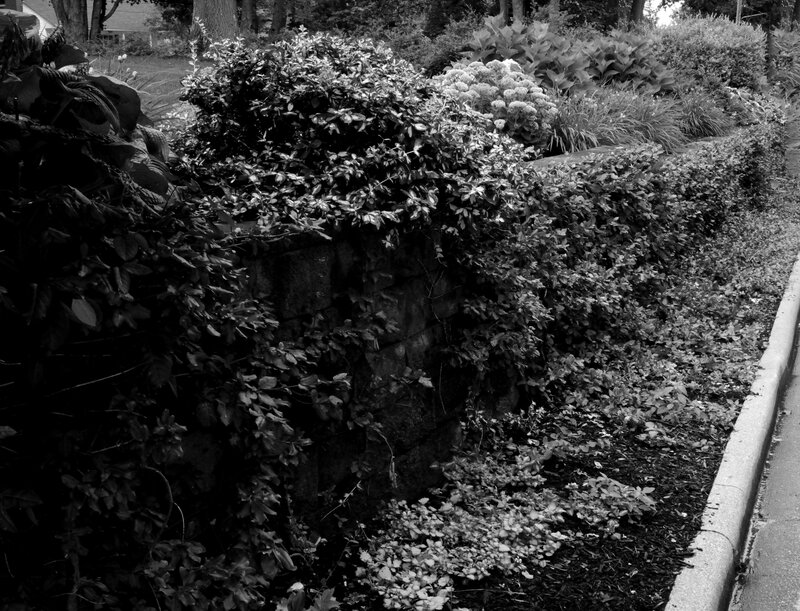 Stone Wall with Bushes
