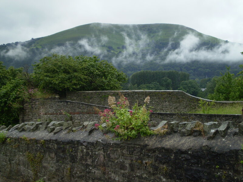 Stone Wall with Flowers