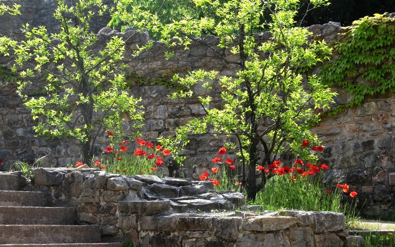 Stone wall with red flowers