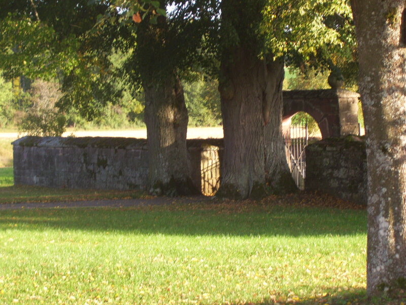 Stone Wall with Trees