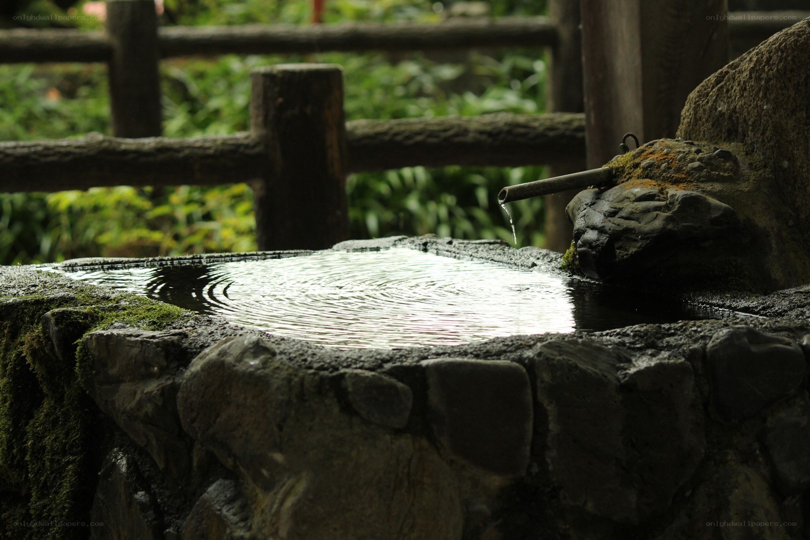 stone water basin in garden