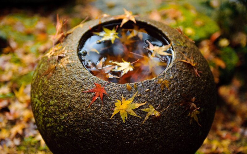 Stone Water Basin with Leaves