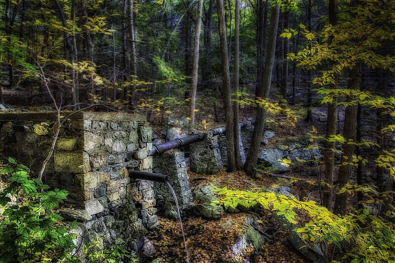 Stone Water Pipe in Forest