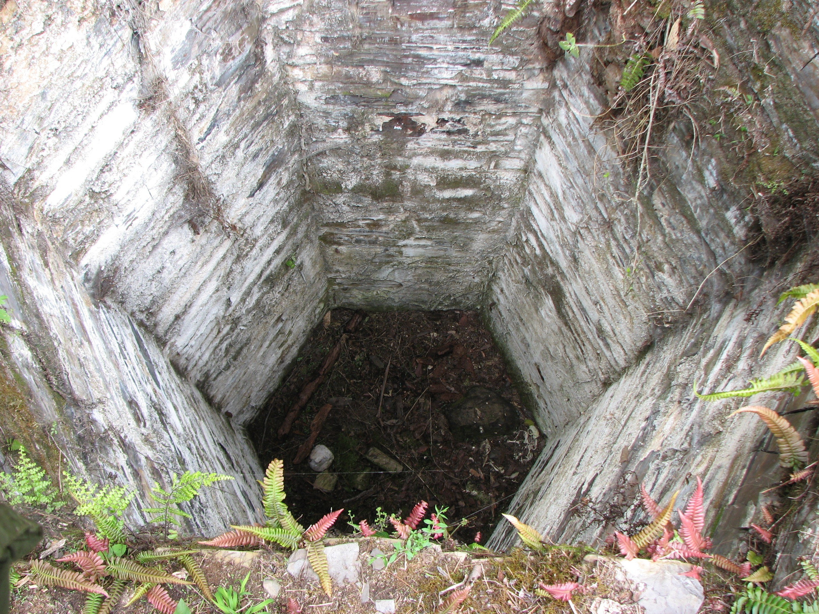 stone well in a forest