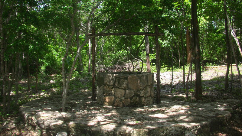 Stone Well in Forest