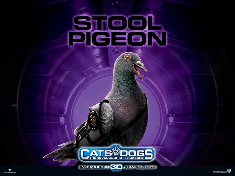 Stool Pigeon movie poster