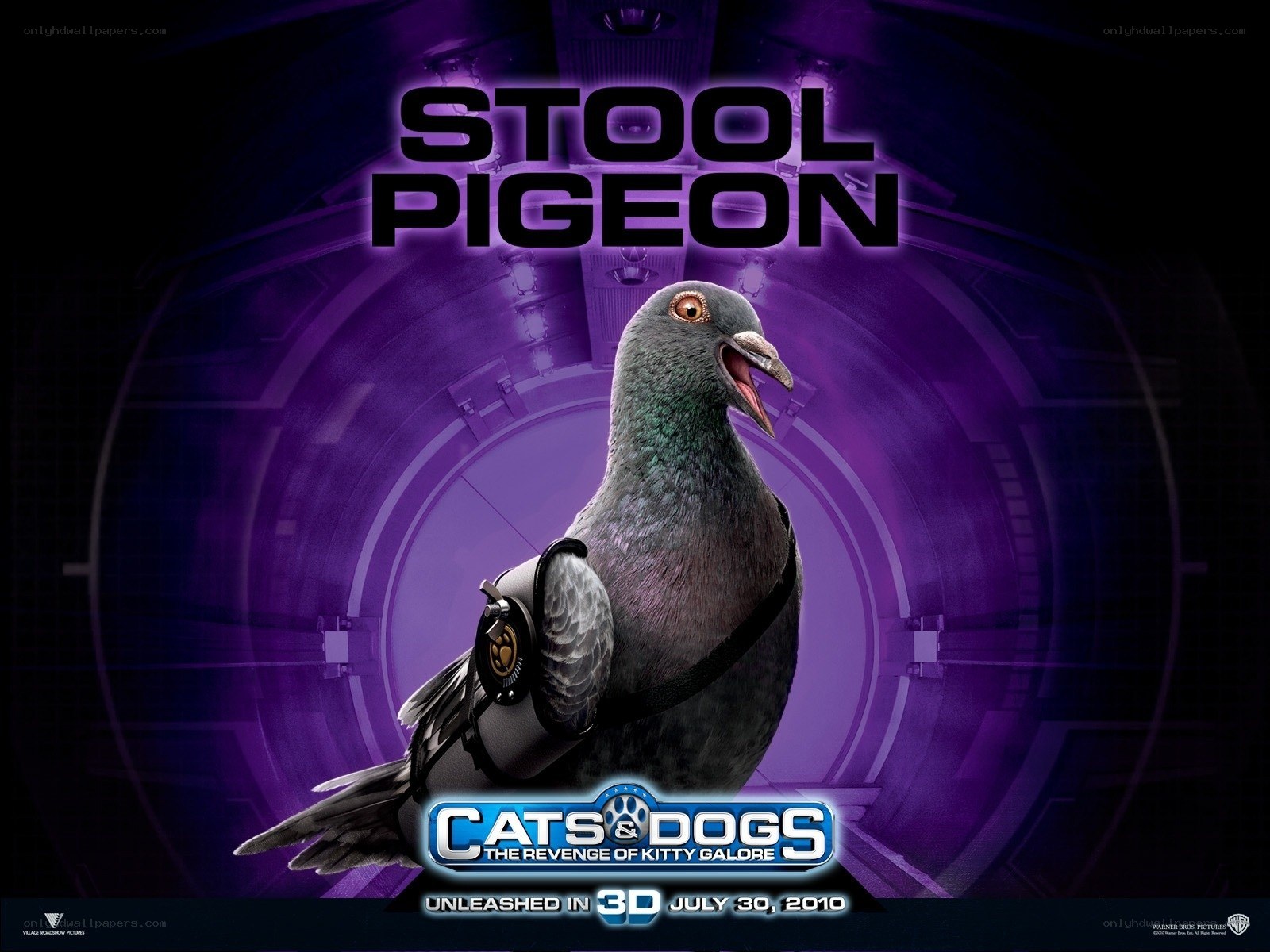 Stool Pigeon movie poster