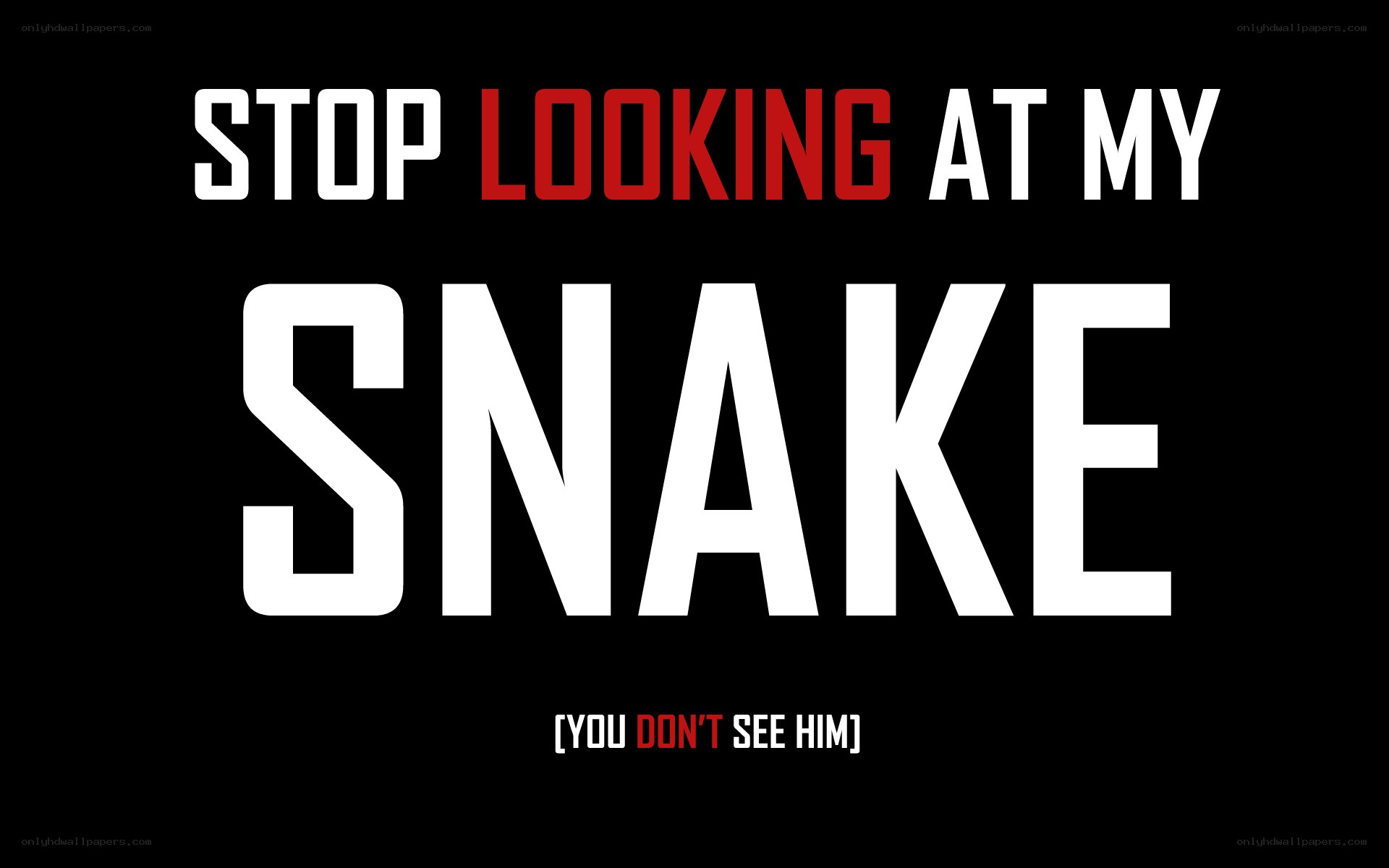 Stop Looking at My Snake