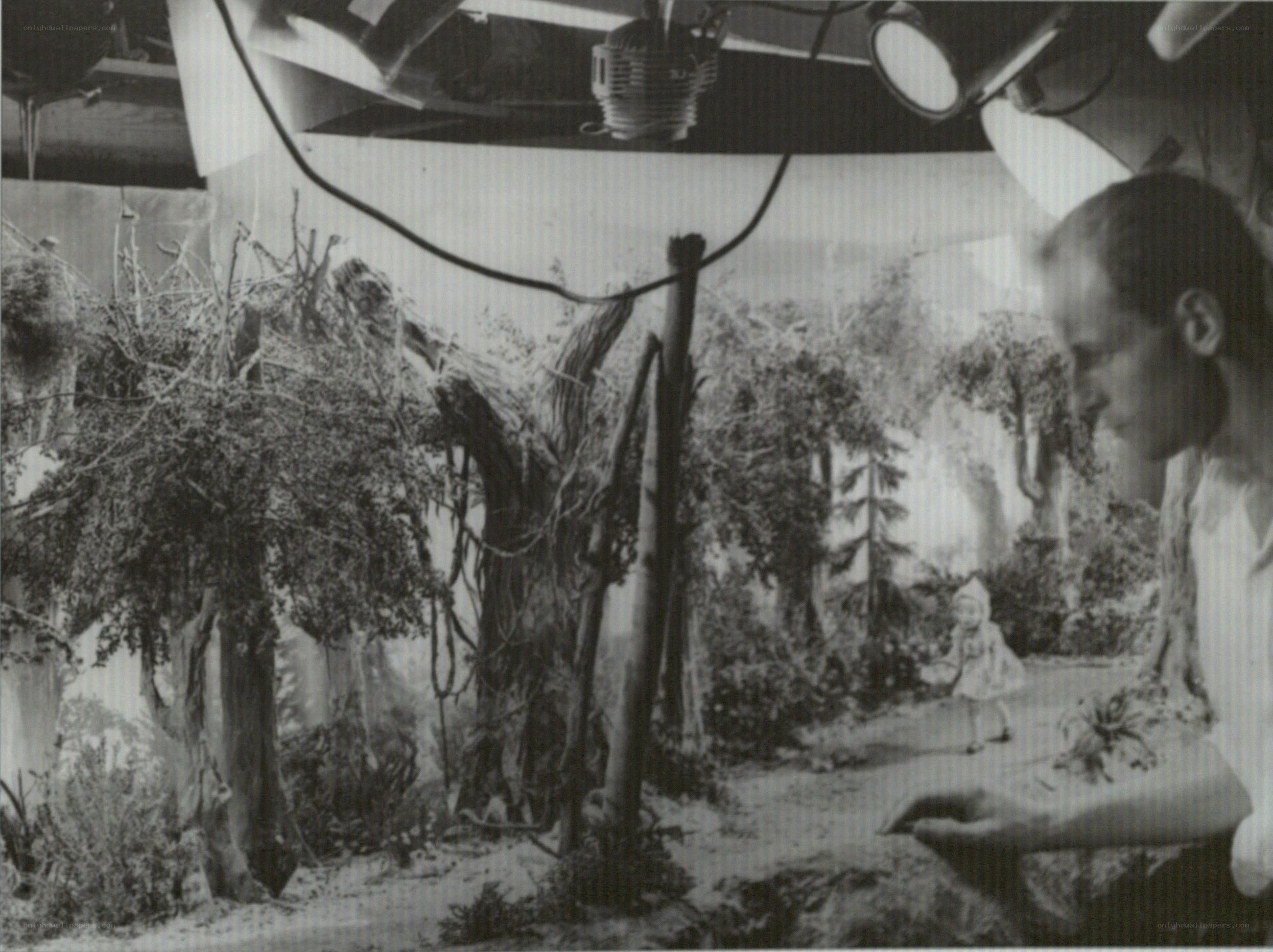 stop-motion animation set