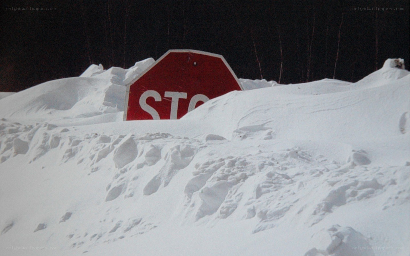Stop sign buried in snow