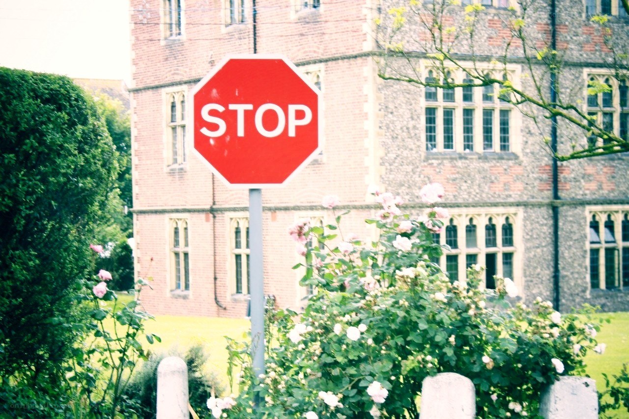 Stop sign in garden