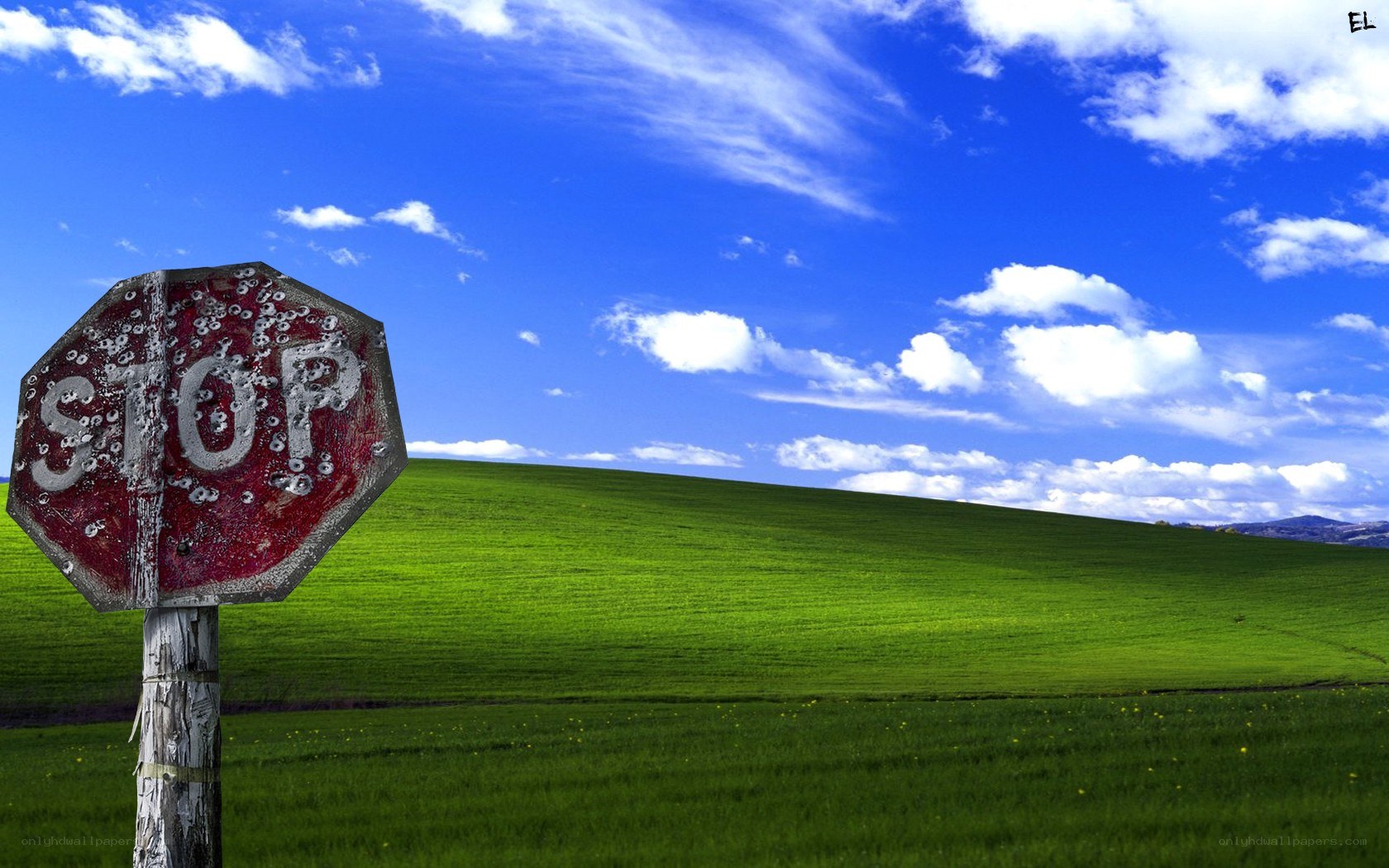 Stop sign in green field