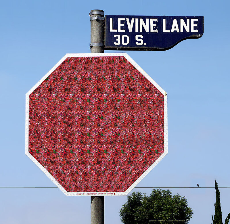 stop sign with floral pattern