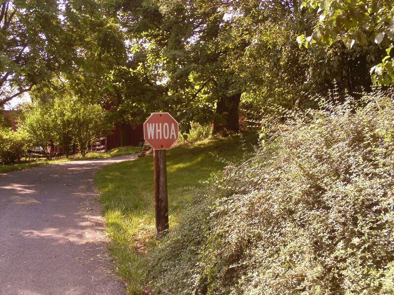 Stop Sign with WHOA Text