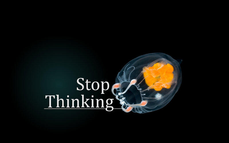 Stop Thinking