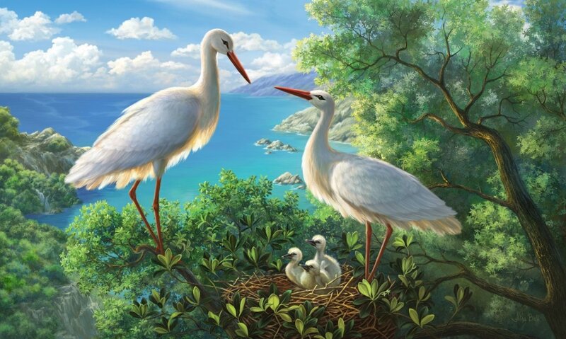 Stork Family in Nest