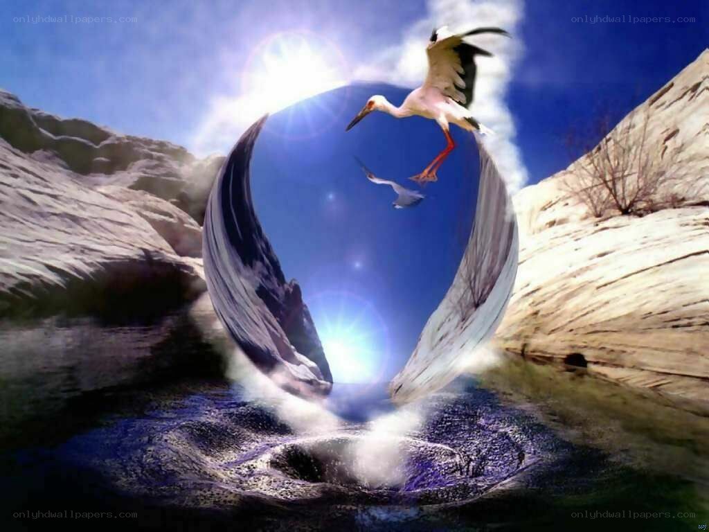 Stork flying over a canyon