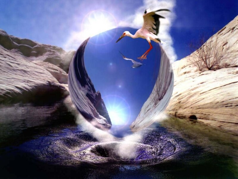 Stork flying over a vortex