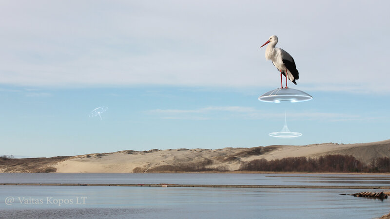 Stork on Flying Saucer