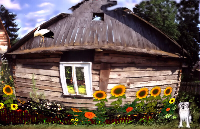 Stork on Wooden House — Brown