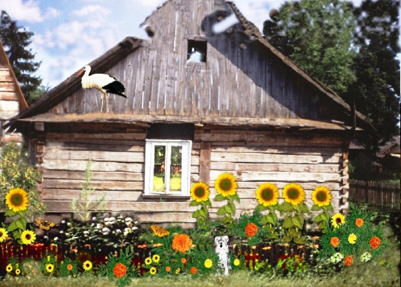 Stork on Wooden House