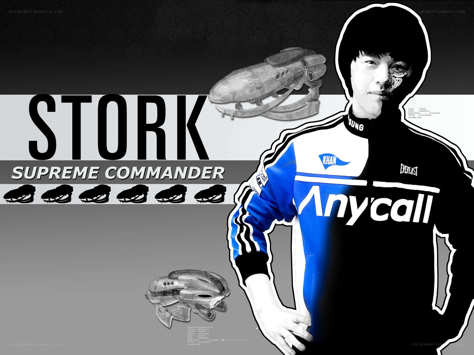 Stork Supreme Commander artwork