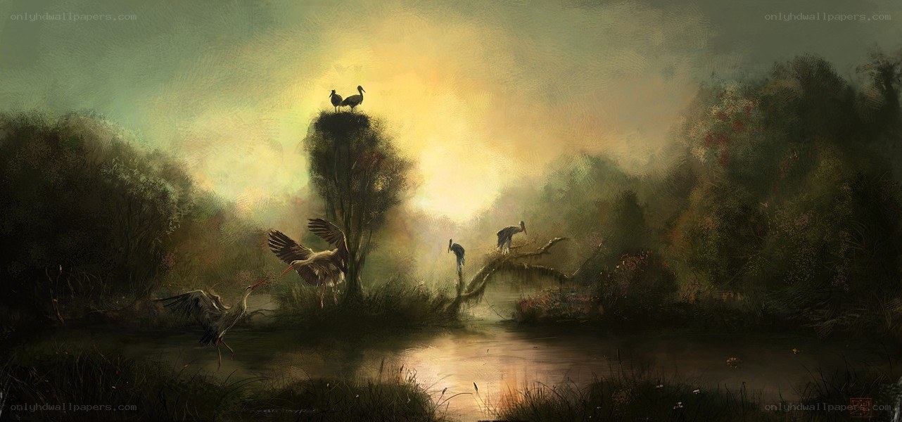 Storks at dawn by the river