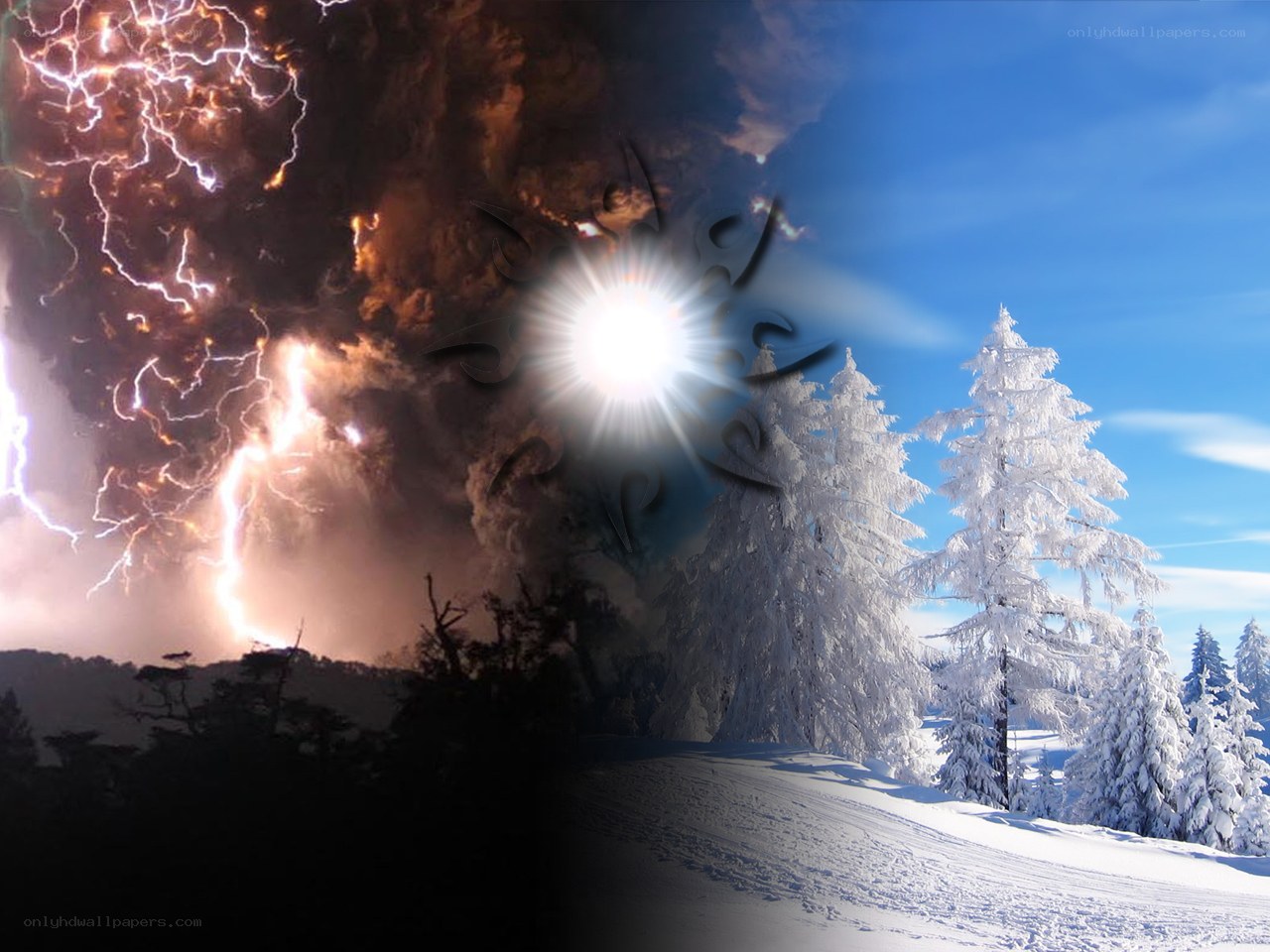 Storm and snow landscape
