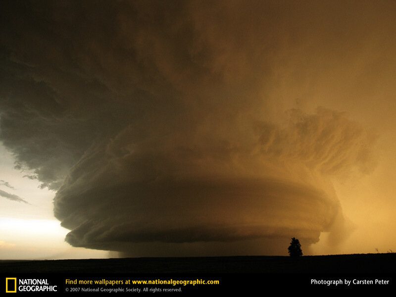 Storm cloud over a lone tree