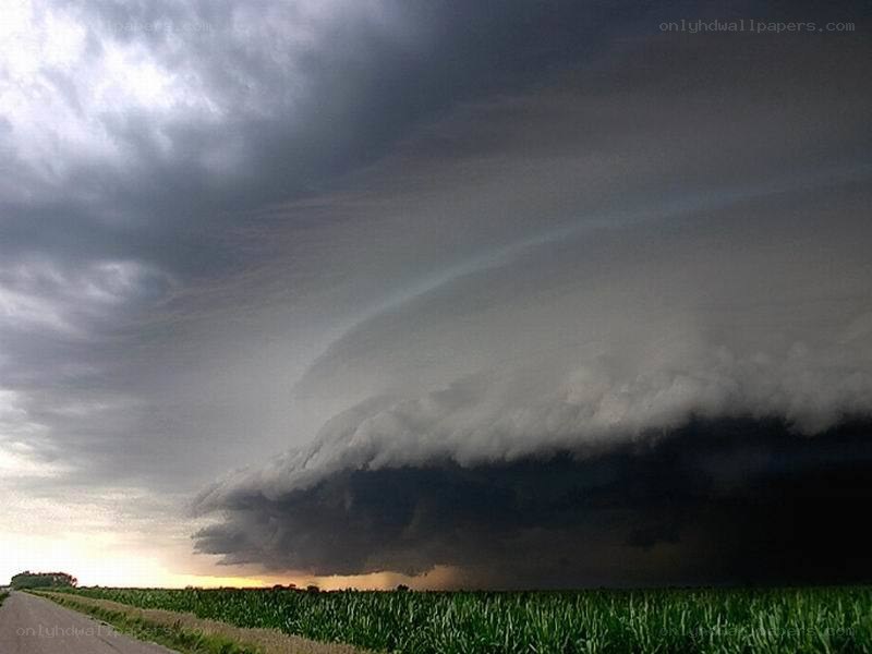 Storm cloud over cornfield