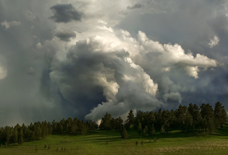 Storm Cloud over Field — Green, Dramatic, Afternoon, Photograph, Trees