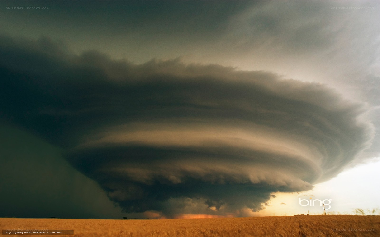 Storm cloud over field