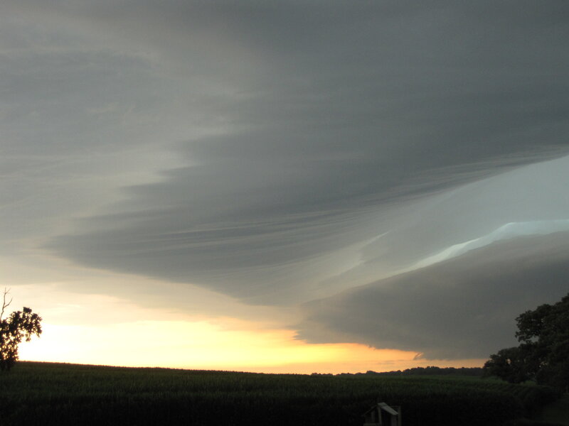 Storm clouds over cornfield