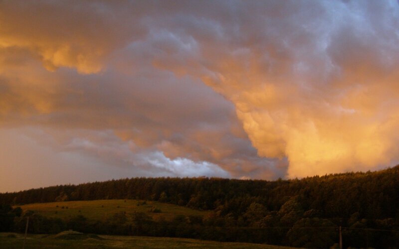 Storm Clouds over Forest — Orange