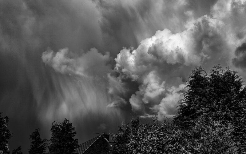 Storm Clouds over Trees — Black
