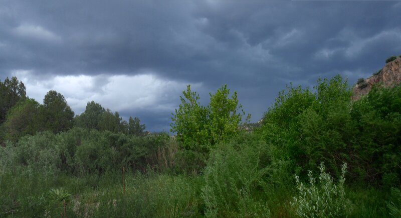 Storm Clouds over Trees — Green